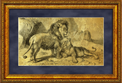 Картина на сусальном золоте «Пара львов» 160х280 мм Картина на сусальном золоте «Пара львов» 160х280 мм