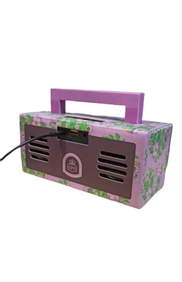 Радиоприемник GPO Bronx  с Bluetooth колонкой, стерео, розовый