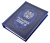 Родословная книга «Художественная», синяя с гербом, кожзам