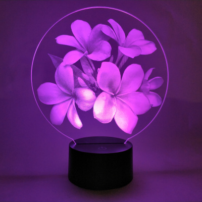3D ночник Цветы Франжипани